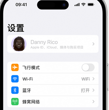 平果appleID维修服务iPhone设置中Apple ID显示为灰色无法使用 