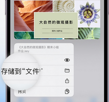 平果apple维修中心分享iPhone文件应用中存储和找到下载文件