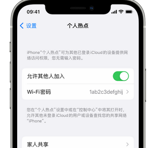 平果apple服务站点分享iPhone上个人热点丢失了怎么办 