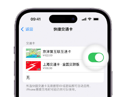 平果apple维修点分享iPhone上更换Apple Pay快捷交通卡手绘卡面 