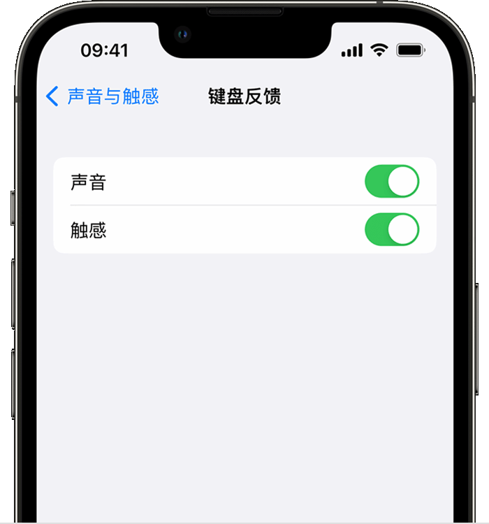 平果苹果14维修店分享如何在 iPhone 14 机型中使用触感键盘 