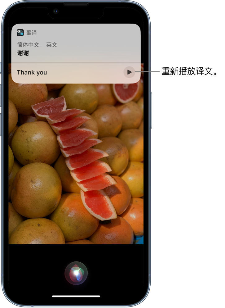 平果苹果14维修分享 iPhone 14 机型中使用 Siri：了解 Siri 能帮你做什么 