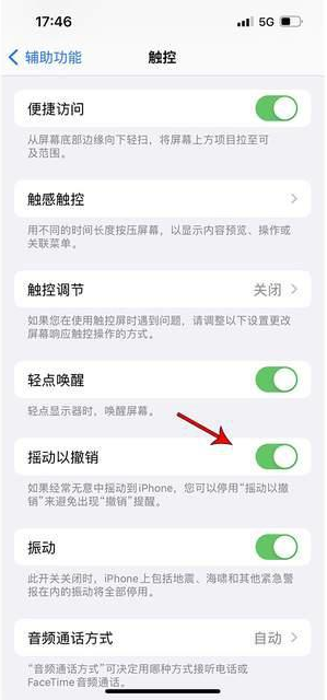 平果苹果手机维修分享iPhone手机如何设置摇一摇删除文字 