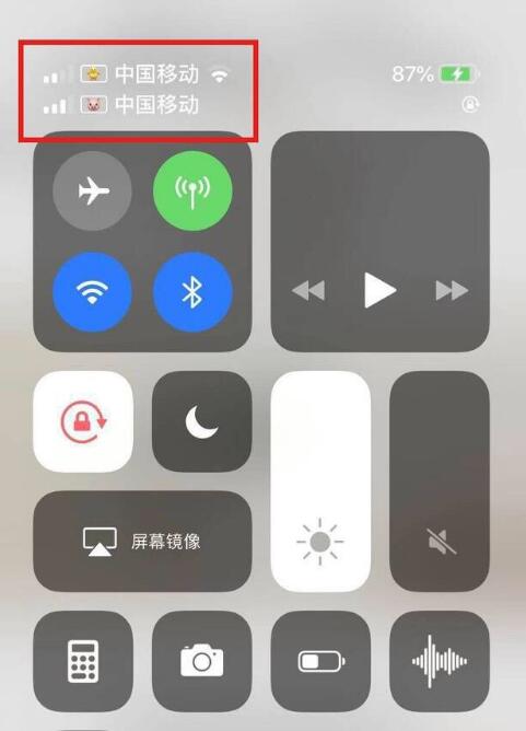 平果苹果手机维修分享为 iPhone 12 双卡设置标签 